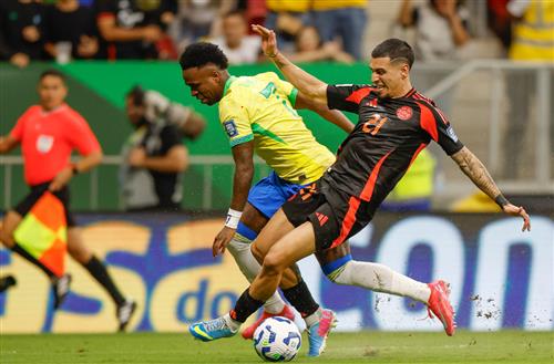 What's a Bingo Game?